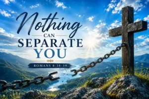 image for nothing Can seperate you